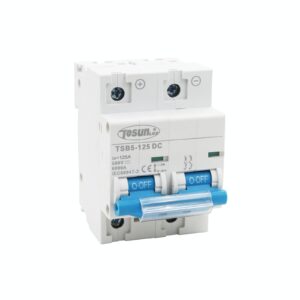 TSB5-125DC 100A 2P 500VDC
